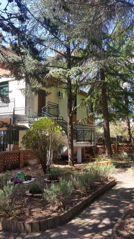 Villa Morgante B&B Pedara Eksteriør bilde