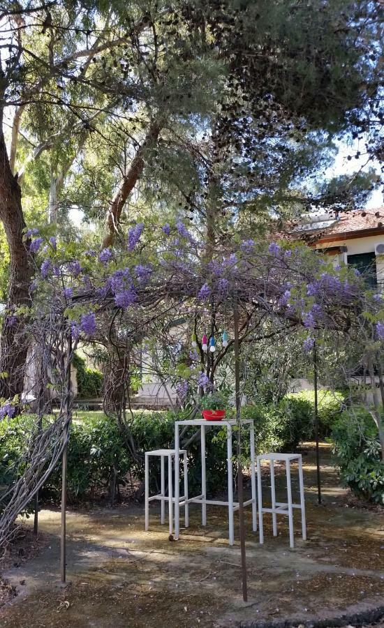 Villa Morgante B&B Pedara Eksteriør bilde